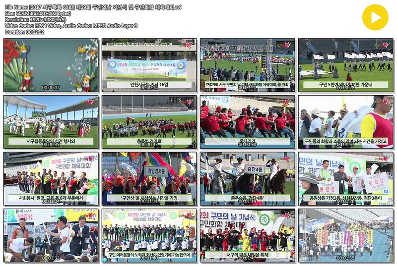 [2017 서구톡톡 69회] 제29회 구민의날 기념식 및 구민화합 체육대회 사진